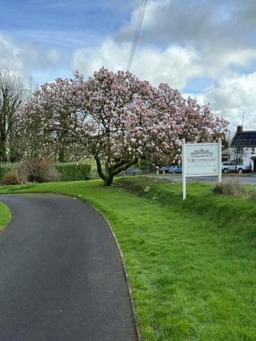 The Spinney Barnstaple Eksteriør bilde