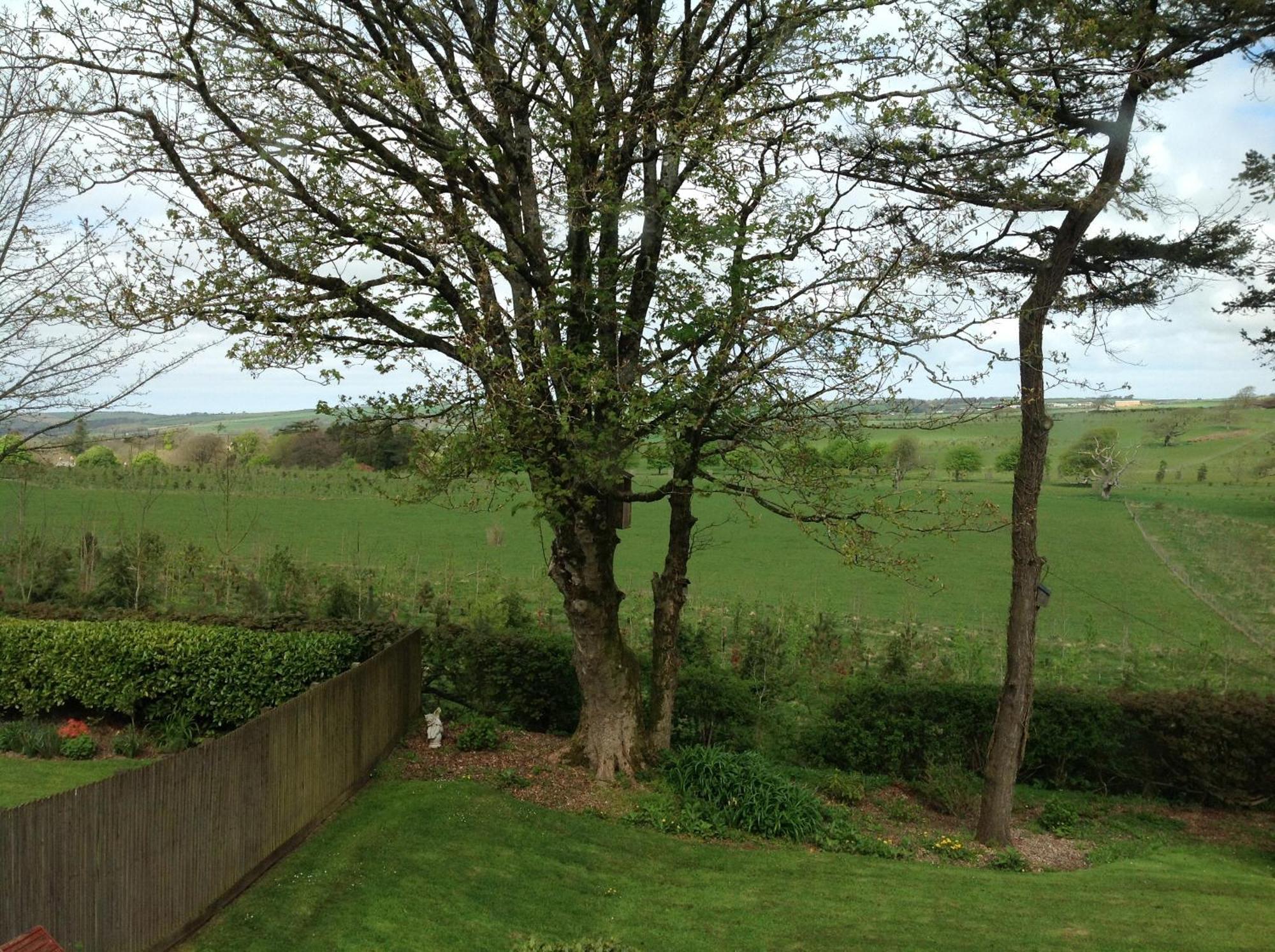 The Spinney Barnstaple Rom bilde